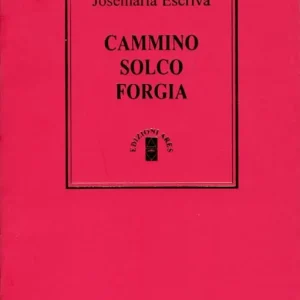 Offerta Cammino-Solco-Forgia