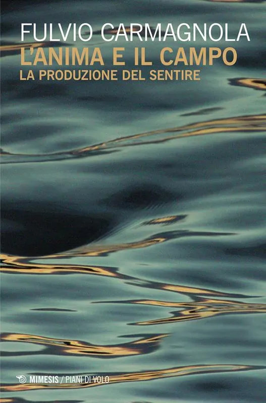 L‘ anima e il campo. La produzione del sentire Economico