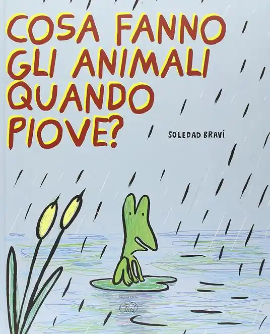 Miglior Prezzo Cosa fanno gli animali quando piove? Ediz. illustrata