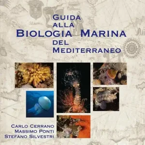 Professionale Guida alla biologia marina del Mediterraneo
