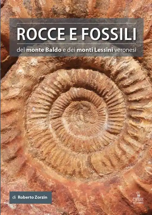 Prezzo Ridotto Rocce e fossili del monte Baldo e dei monti Lessini veronesi