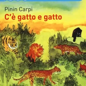 C‘è gatto e gatto Occasione