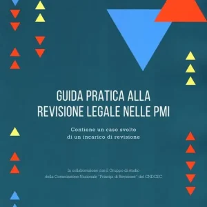 Guida pratica alla revisione legale nelle PMI Subito Disponibile