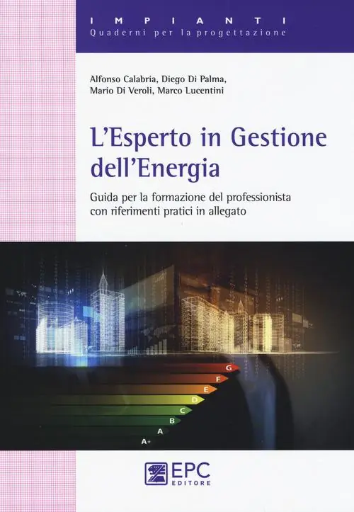 L‘esperto in gestione dell‘energia. Guida per la formazionre del professionista con riferimenti pratici in allegato Offerta Limitata