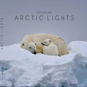 Artic lights. Ediz. illustrata Sconto