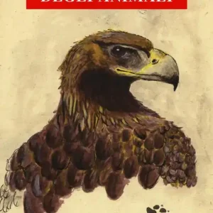 Popolare Le scarpe degli animali