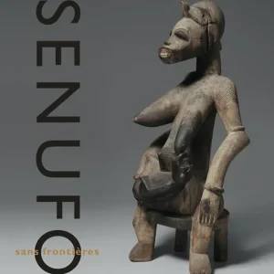Senufo sans frontières. La dynamique des arts et des identités en Afrique de l‘ouest. Ediz. illustrata Non Perdere