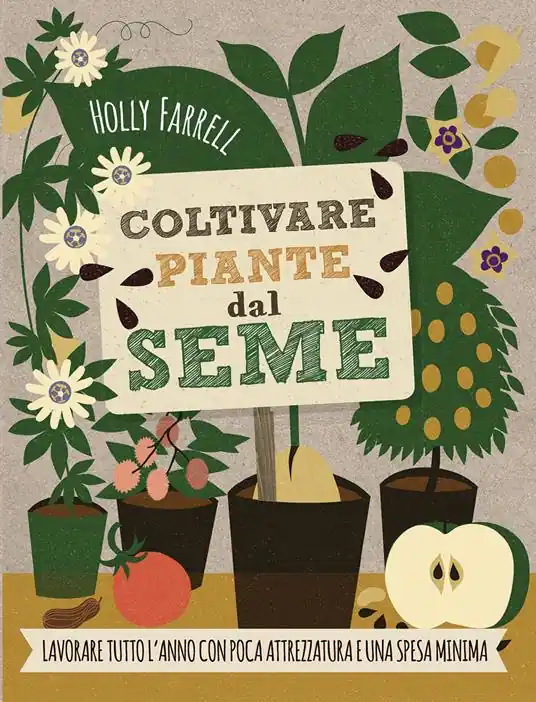 Solo Oggi Coltivare piante dal seme. Lavorare tutto l‘anno con poca attrezzatura e una spesa minima
