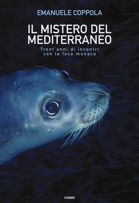 Il mistero del Mediterraneo. Trent‘anni di incontri con la foca monaca. Ediz. illustrata A Buon Prezzo