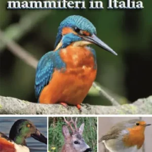 Uccelli e mammiferi in Italia Più Venduto