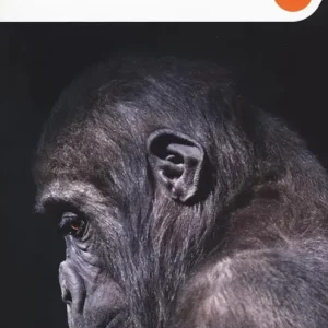 Scelto Dai Clienti L‘intelligenza morale degli animali