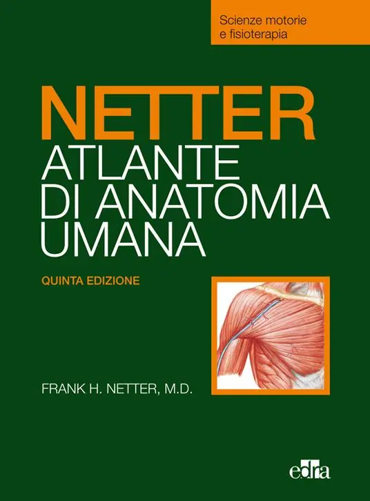 Must-Have Netter. Atlante anatomia umana. Scienze motorie e fisioterapia