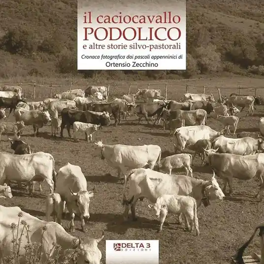 Sconto Il caciocavallo podolico e altre storie silvo-pastorali. Cronaca fotografica dai pascoli appenninici. Ediz. illustrata