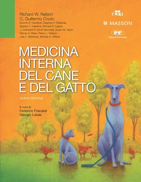 Medicina interna del cane e del gatto Prezzo Di Fabbrica