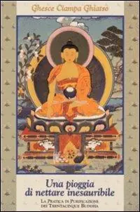 Offerta Speciale Una pioggia di nettare inesauribile. La pratica di purificazione dei 35 Buddha