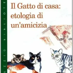 Il gatto di casa etologia di un‘amicizia Super Prezzo