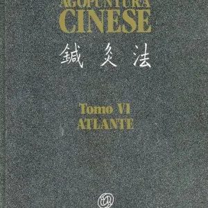 Agopuntura cinese. Vol. 6 Atlante Scelto Dai Clienti