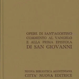 Solo Oggi Opera omnia. Vol. 24 2 Commento al Vangelo e alla prima epistola di san Giovanni.
