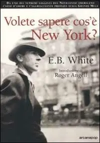 Ultimissimo Modello Volete sapere cos‘è New York?