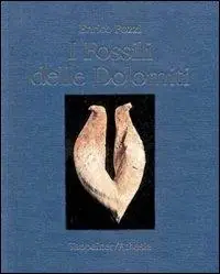 I fossili delle Dolomiti Affare