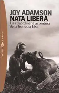 Miglior Prezzo Nata libera. La straordinaria avventura della leonessa Elsa