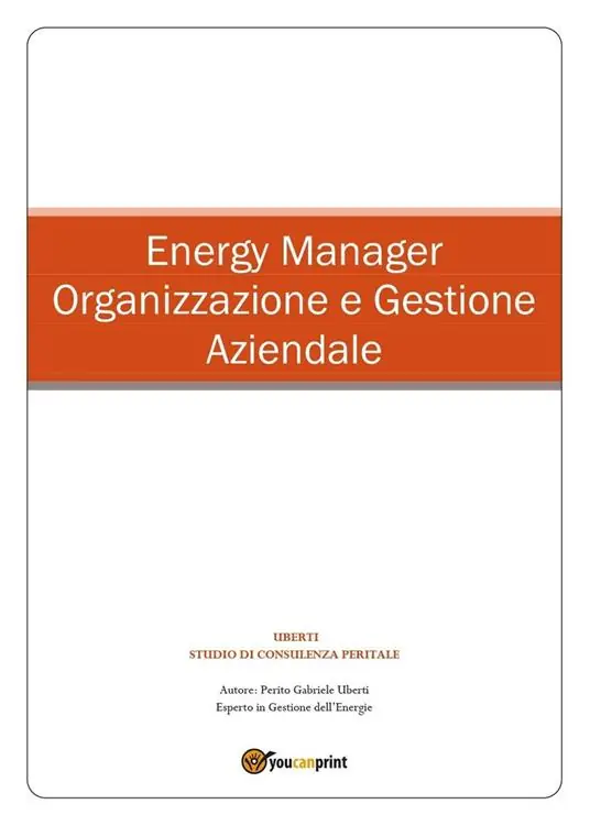 Offerta Lampo Energy manager. Organizzazione e gestione aziendale