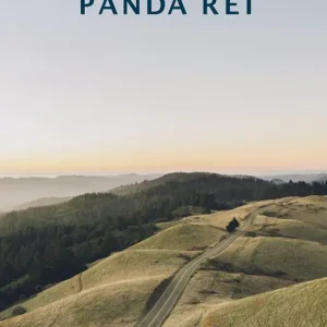 Quantità Limitata Panda rei