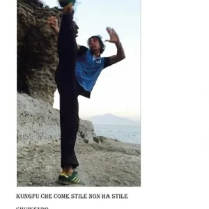 Vendita Finale Kungfu che come stile non ha stile Shuikendo