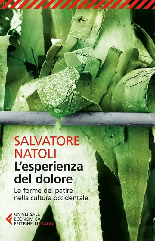 Compra Online L‘esperienza del dolore. Le forme del patire nella cultura occidentale