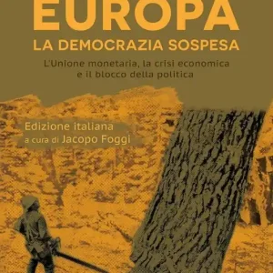 Spedito Oggi Europa. La democrazia sospesa. L‘unione monetaria, la crisi economica e il blocco della politica