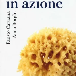 Subito Disponibile Il cervello in azione