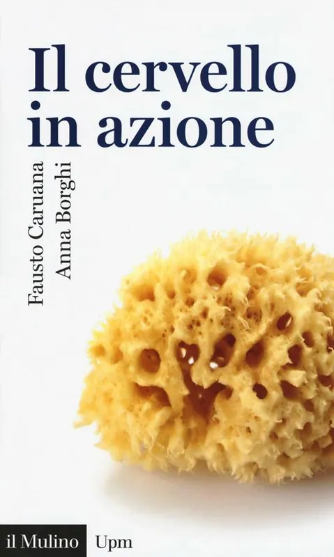 Subito Disponibile Il cervello in azione