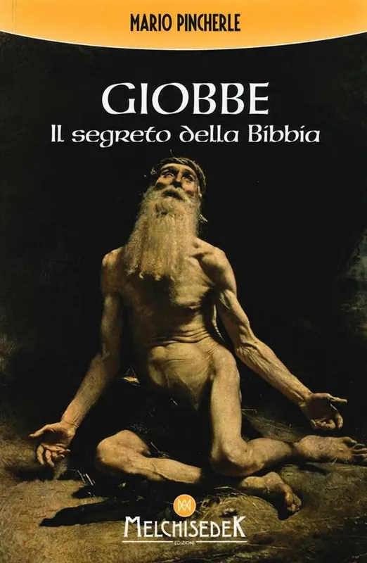 Economico Giobbe. Il segreto della Bibbia
