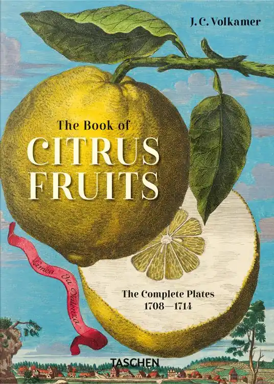 Ultime Pezzi J. C. Volkamer. The book of citrus fruits. 45th Ed. Ediz. inglese, francese, tedesca