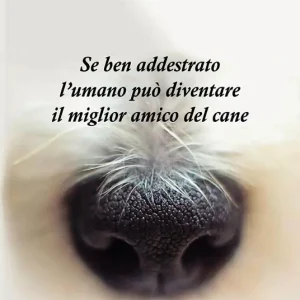 Saldi Se ben addestrato l‘umano può diventare il miglior amico del cane