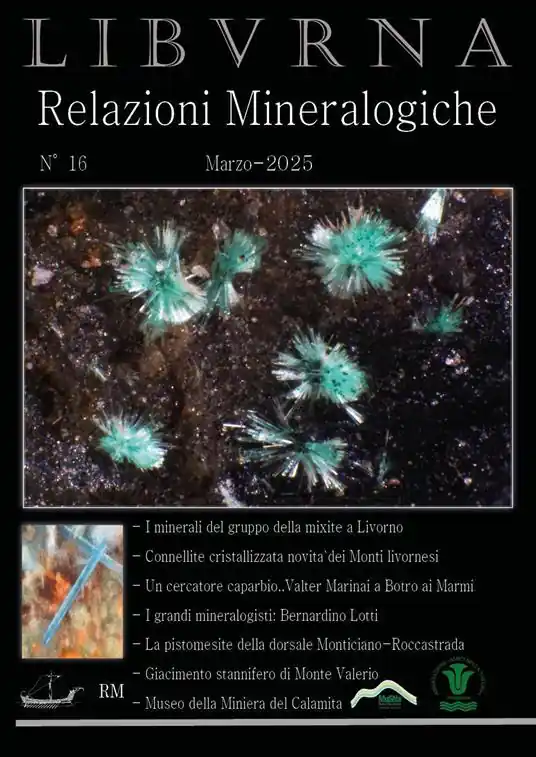 Relazioni mineralogiche. Libvrna (2025). Vol. 16 Direttamente Dal Produttore