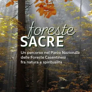 Foreste sacre. Un percorso nel Parco Nazionale delle foreste casentinesi fra natura e spiritualità. Nuova ediz. Acquista Ora