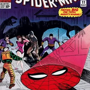 Marvel Comics Library. Spider‐Man. Ediz. inglese. Vol. 2 1965-1966 Economico