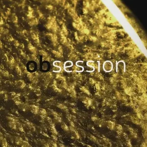 Obsession. Ediz. italiana e inglese Occasione Imperdibile