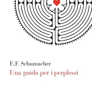 Una guida per i perplessi Economico