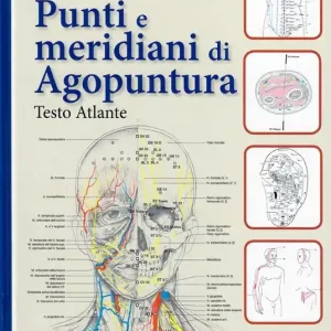 Punti e meridiani di agopuntura Più Venduto