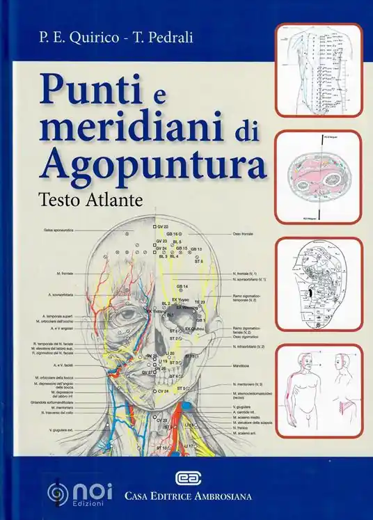 Punti e meridiani di agopuntura Più Venduto
