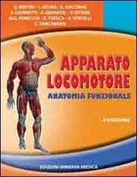 Bestseller Apparato locomotore. Anatomia funzionale