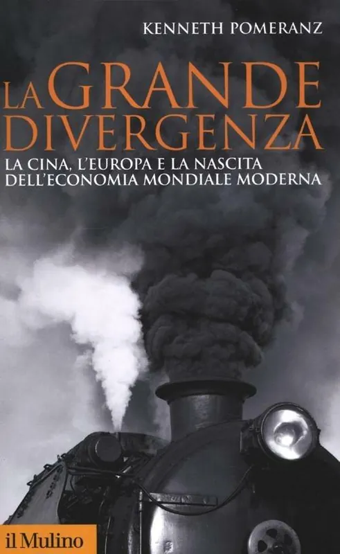 Nuova Collezione La grande divergenza. La Cina, l‘Europa e la nascita dell‘economia mondiale moderna
