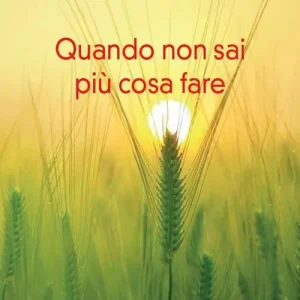 Scelto Dai Clienti Quando non sai più cosa fare