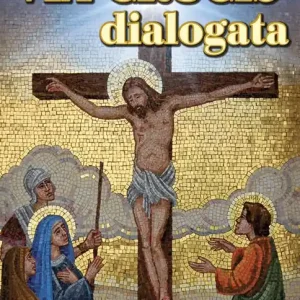 Via crucis dialogata Direttamente Dal Produttore