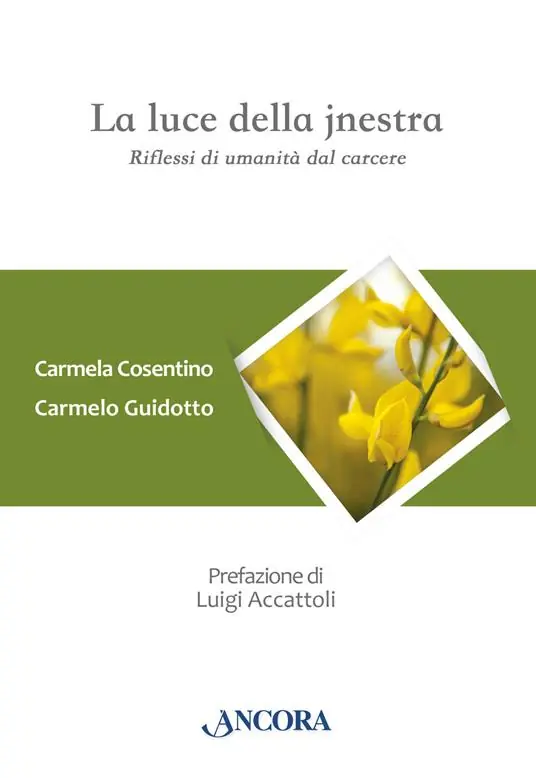 Promozione Esclusiva La luce della jnestra. Riflessi di umanità dal carcere
