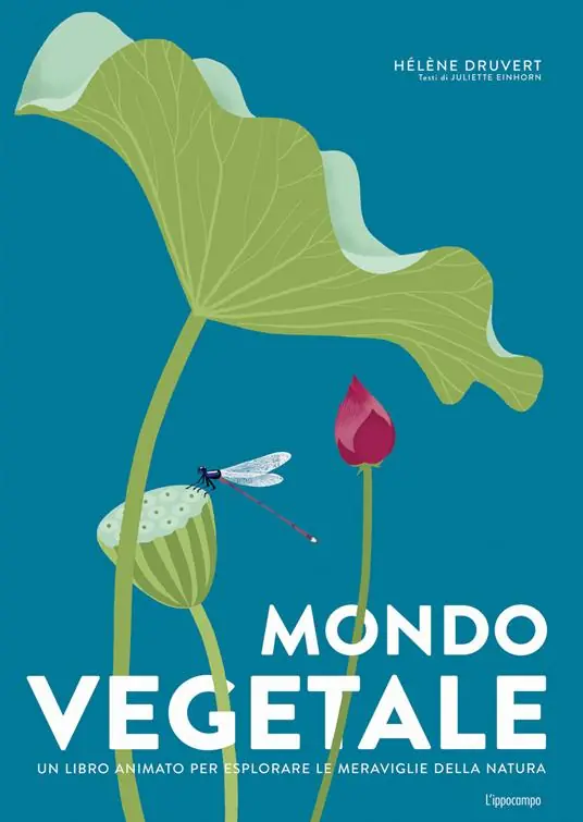 Mondo vegetale. Un libro animato per esplorare le meraviglie della natura. Ediz. a colori Promozione Esclusiva