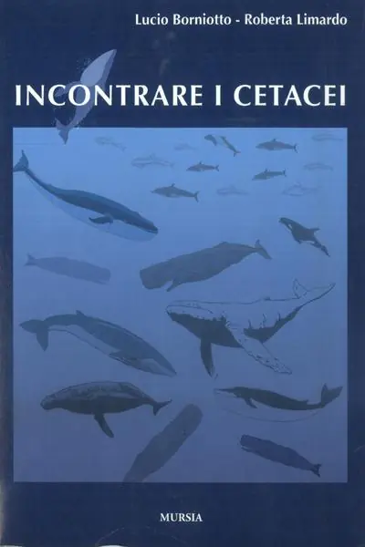 Ordina Subito Incontrare i cetacei