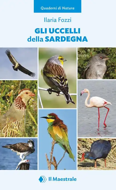 Gli uccelli della Sardegna A Buon Prezzo